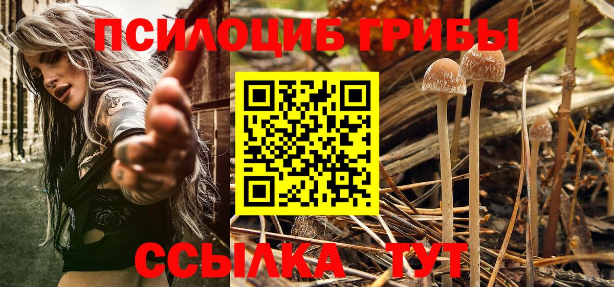 Калач-на-Дону  Псилоцибиновые грибы ЛСД  Галлюциногенные грибы GOLDEN TEACHER  Вход с VPN 